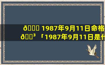 🐝 1987年9月11日命格 🐳 「1987年9月11日是什么星座农历」